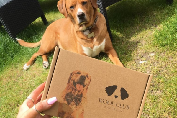 Pet subscription boxes - how to create a lasting impression with your packaging
